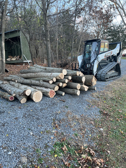 Custom Tree Removal and Firewood Processing